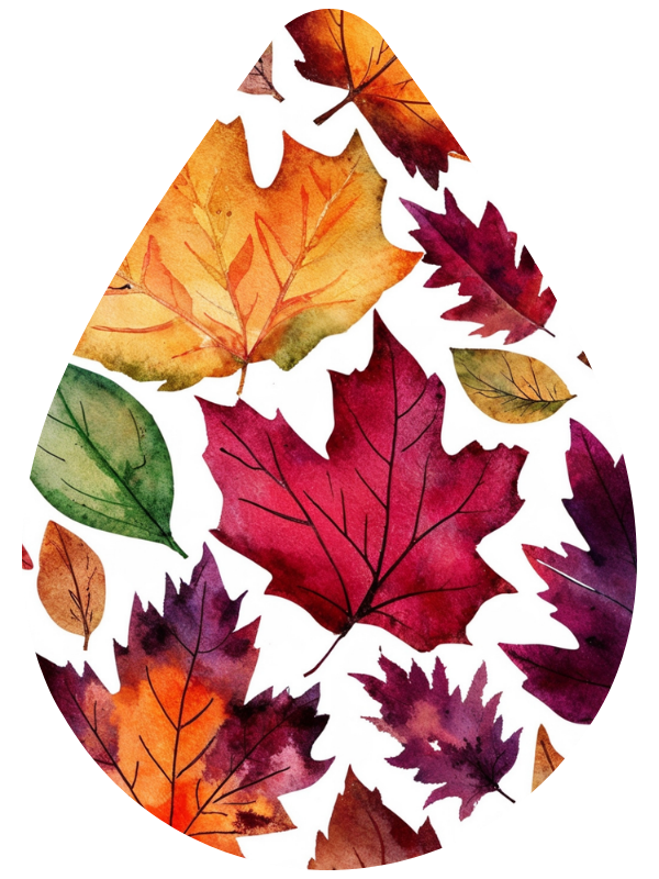 Fall Tear Drop Earrings