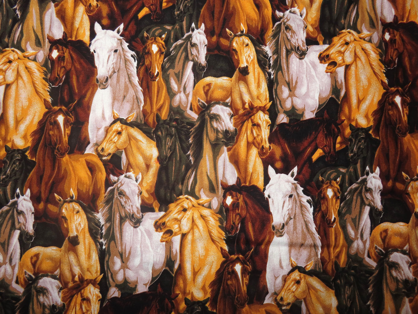 Horses